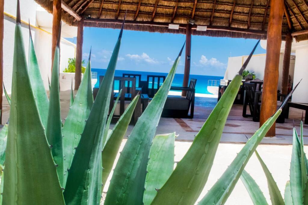Ocean View Apartment, Best Beach Area, 3 Bedrooms Cancún Zewnętrze zdjęcie