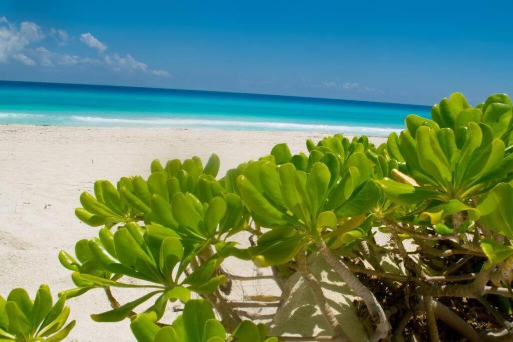 Ocean View Apartment, Best Beach Area, 3 Bedrooms Cancún Zewnętrze zdjęcie